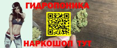дурь Тара
